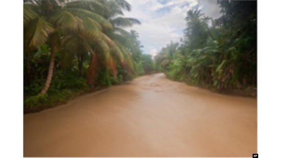 brown river with green trees around it