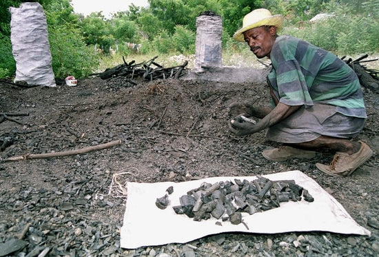 Man collecting charcoal in haiti to make money