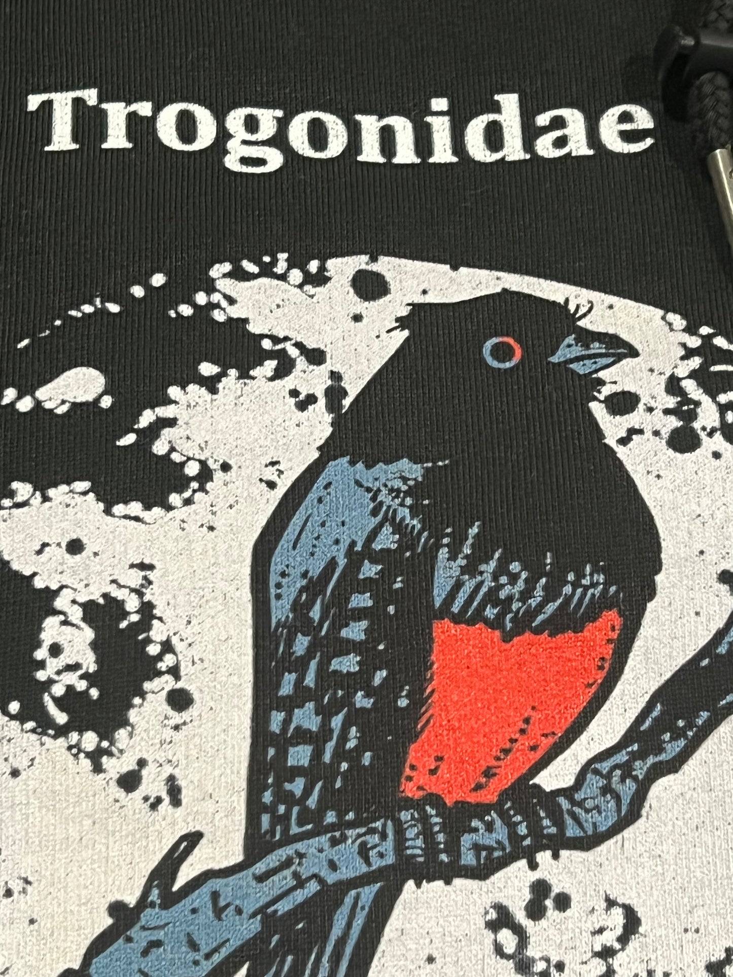 Trogonidae Hoody