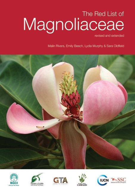 Magnoliaceae Hoody