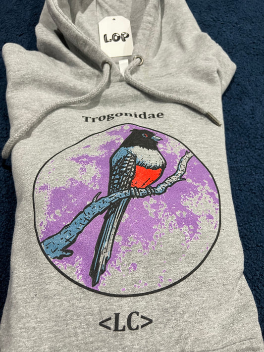 Trogonidae Hoody