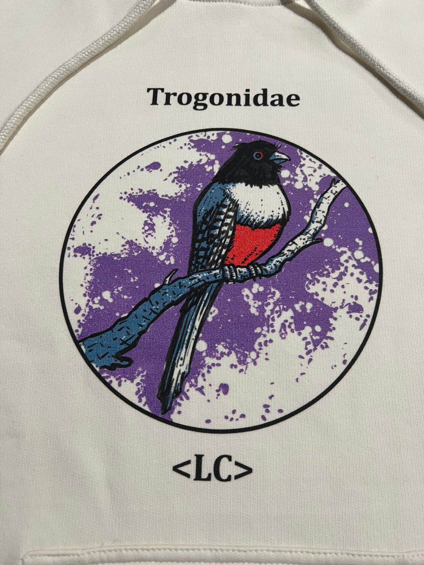 Trogonidae Hoody