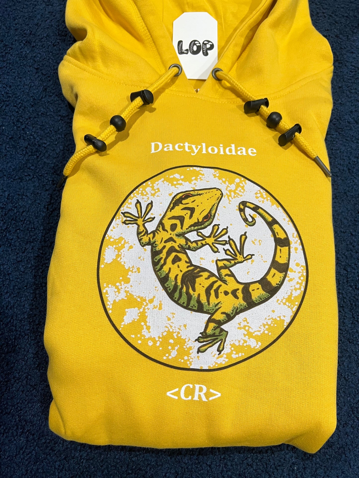 Dactyloidae Hoody