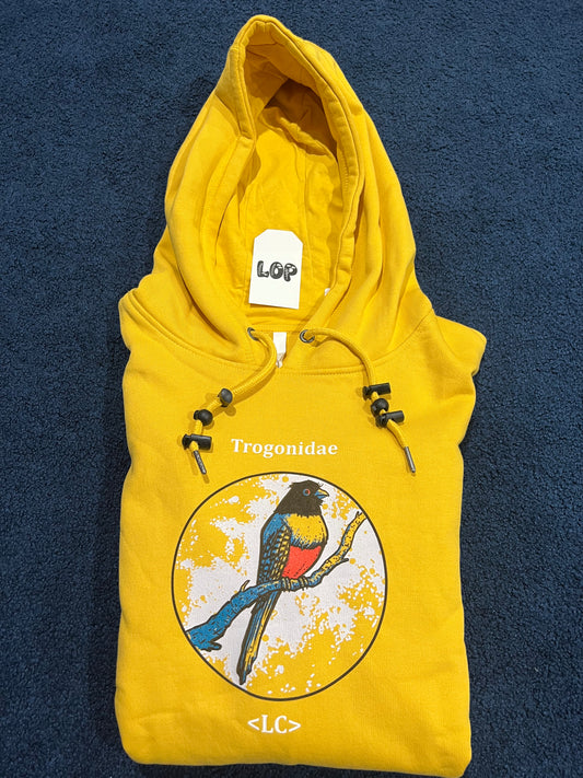 Trogonidae Hoody