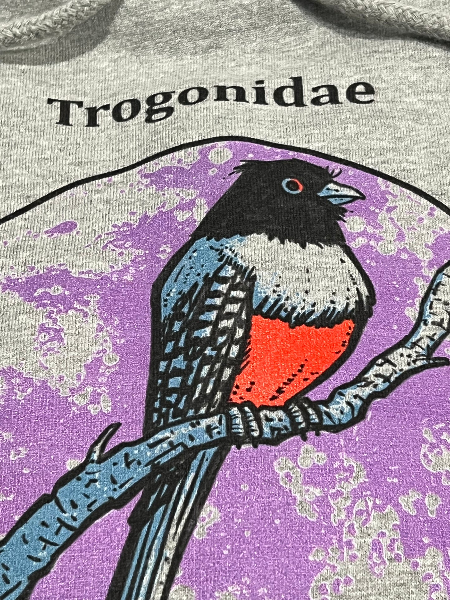 Trogonidae Hoody