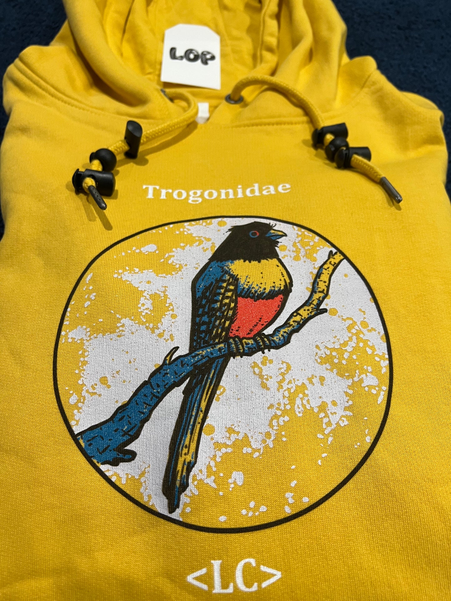 Trogonidae Hoody