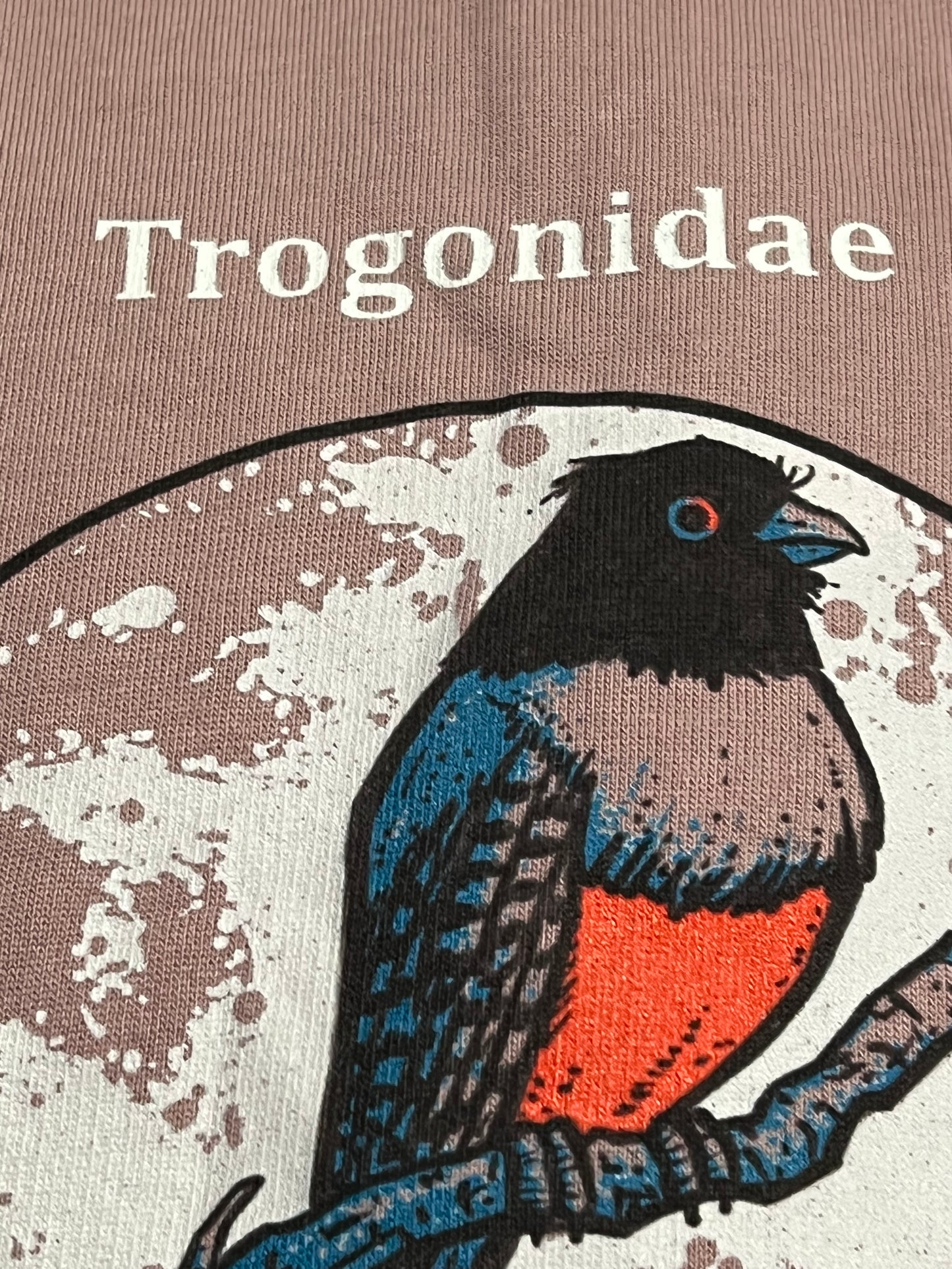 Trogonidae Hoody