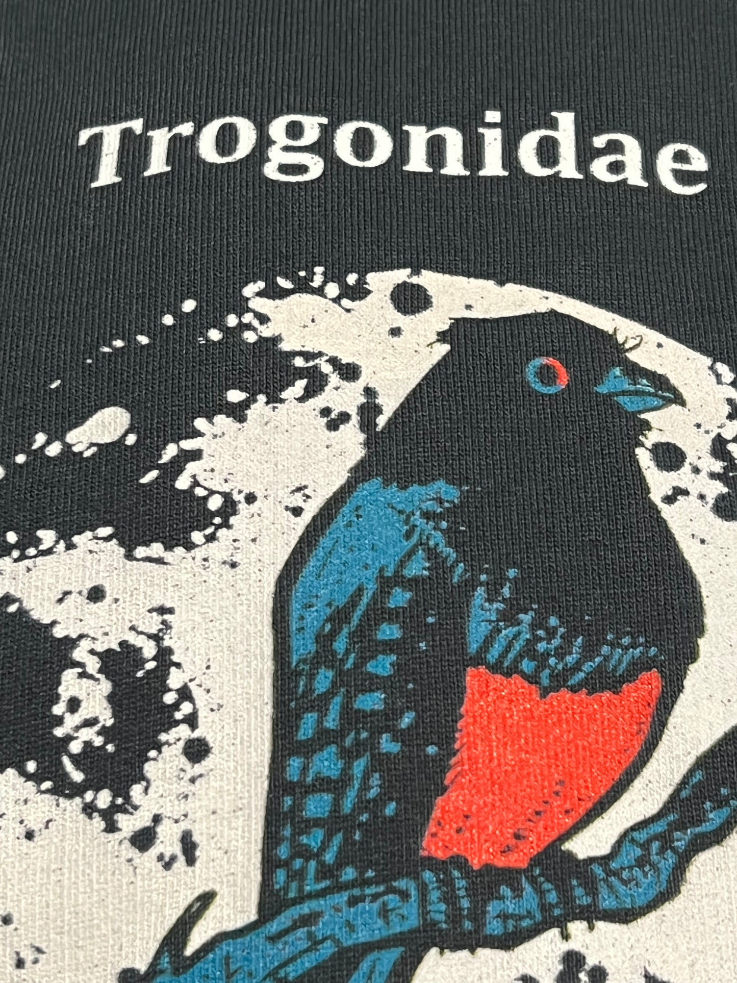 Trogonidae Hoody