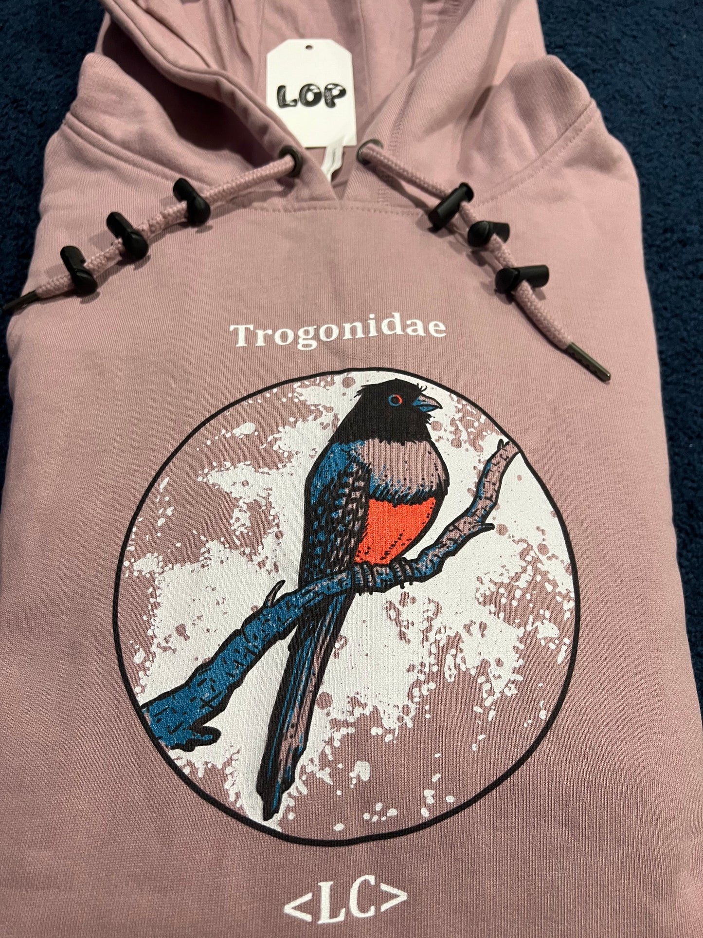 Trogonidae Hoody